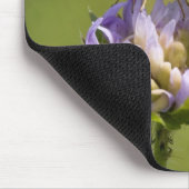 Thymelicus lineola mousepad (Ecke)