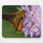 Thymelicus lineola mousepad (Vorne)