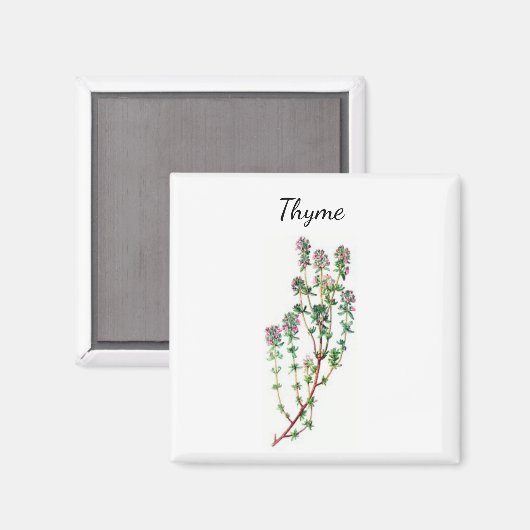Thymian Herb Magnet (Vorderseite/Rückseite)