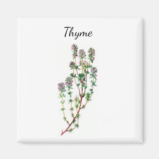 Thymian Herb Magnet (Vorne)