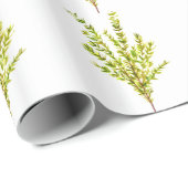 Thymian Kräuter Botanische Kräuter Geschenkpapier (Rolleneckpunkt)