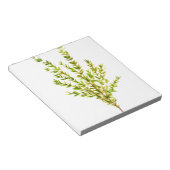 Thymian Kräuter Botanische Kräuter Notizblock (angewinkelt)