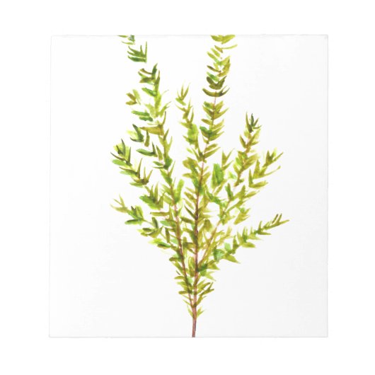 Thymian Kräuter Botanische Kräuter Notizblock (Vorderseite)