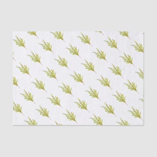 Thymian Kräuter Botanische Pflanze Wasserfarbe Grü Seidenpapier (Vorderseite)