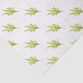 Thymian Kräuter Botanische Pflanze Wasserfarbe Grü Seidenpapier (Ausschnitt)