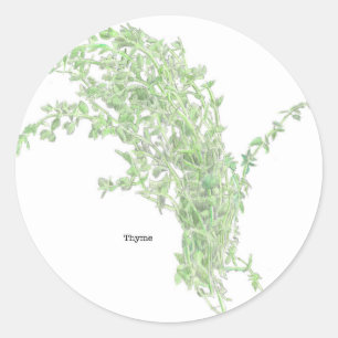 Thymian-Zeichnung Runder Aufkleber