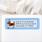 Ti-color Beagle Bay Studio Blue (Insitu)