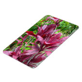 Ti Pflanze Foto Magnet (Linke Seite)