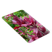 Ti Pflanze Foto Magnet (Rechte Seite)