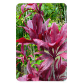 Ti Pflanze Foto Magnet (Vertikal)