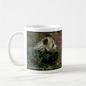 Tian Tian und Mei Xiang Panda-Staatsangehörig-Zoo Kaffeetasse (Links)