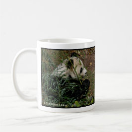 Tian Tian und Mei Xiang Panda-Staatsangehörig-Zoo Kaffeetasse