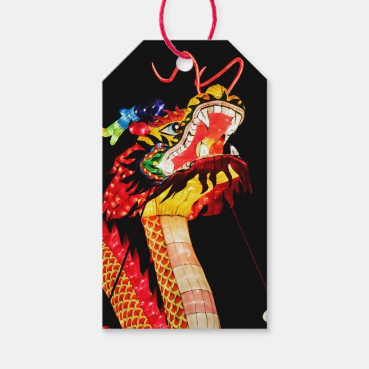 Tianlong-Drache Geschenkanhänger (Vorderseite)