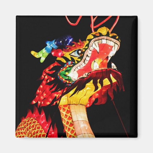 Tianlong-Drache Magnet (Vorne)