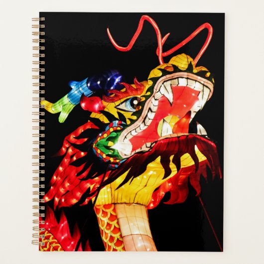 Tianlong-Drache Planer (Vorderseite)