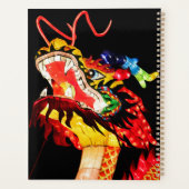 Tianlong-Drache Planer (Rückseite)