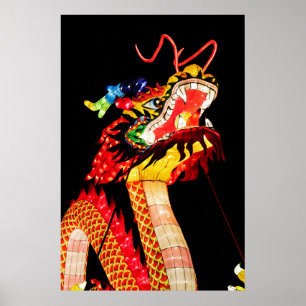 Tianlong-Drache Poster