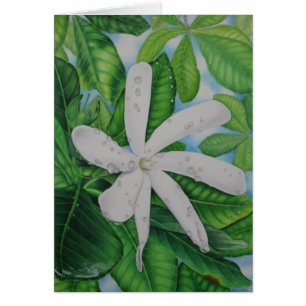Tiare Tahiti