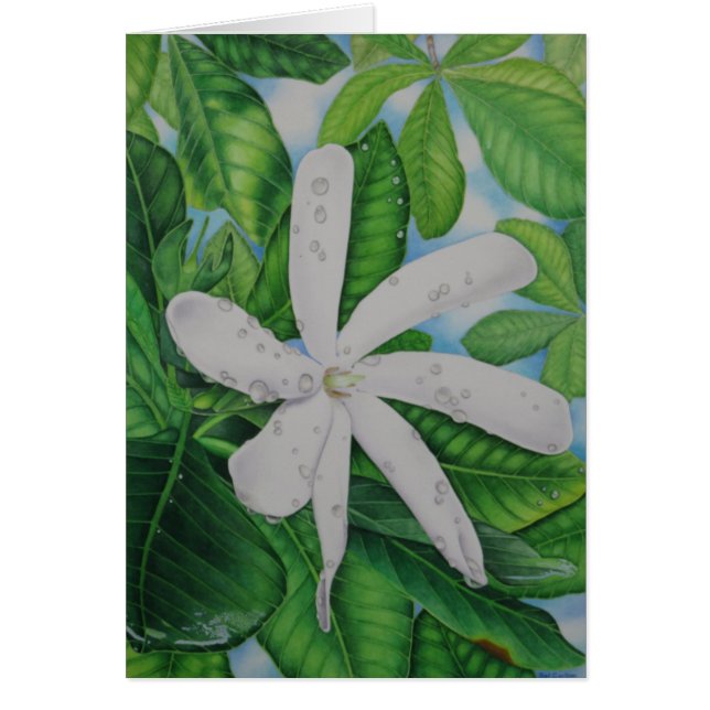 Tiare Tahiti (Vorne)