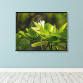 "Tiare Tahiti"-Foto von Itata'e Hoho'a Leinwanddruck (Insitu (Holzboden))