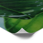 Tiare Tahiti Poster (Ecke)