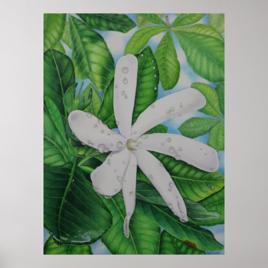 Tiare Tahiti Poster (Vorne)