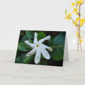Tiare Tahitian Gardenia Karte (Gelbe Blume)