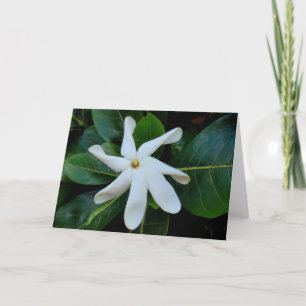 Tiare Tahitian Gardenia Karte