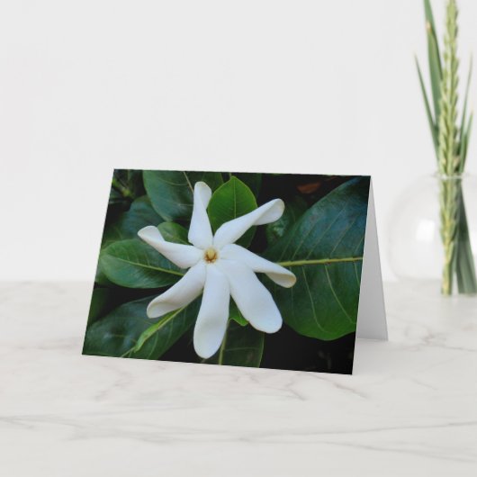Tiare Tahitian Gardenia Karte (Vorderseite)