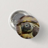 Tibbs Button (Vorne & Hinten)