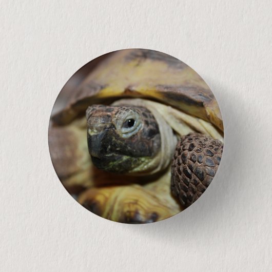 Tibbs Button (Vorderseite)