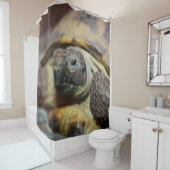 Tibbs Duschvorhang (Beispiel)