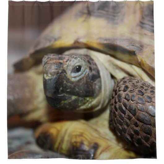 Tibbs Duschvorhang (Vorderseite)