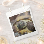 Tibbs Geschenktütchen (Ausgeschnitten)