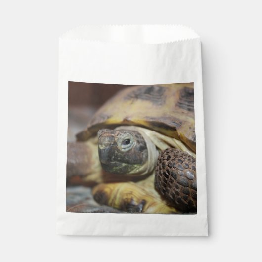 Tibbs Geschenktütchen (Vorderseite)