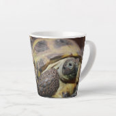 Tibbs Milchtasse (Rechte Ecke)