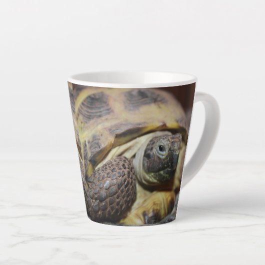 Tibbs Milchtasse (Rechte Ecke)