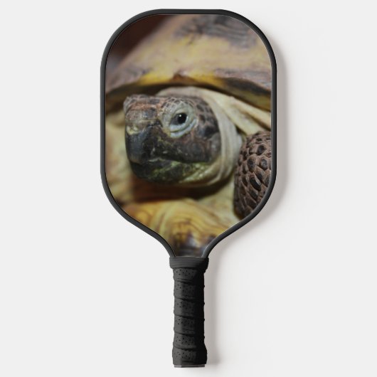 Tibbs Pickleball Schläger (Vorderseite)