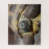 Tibbs Puzzle (Vertikal)