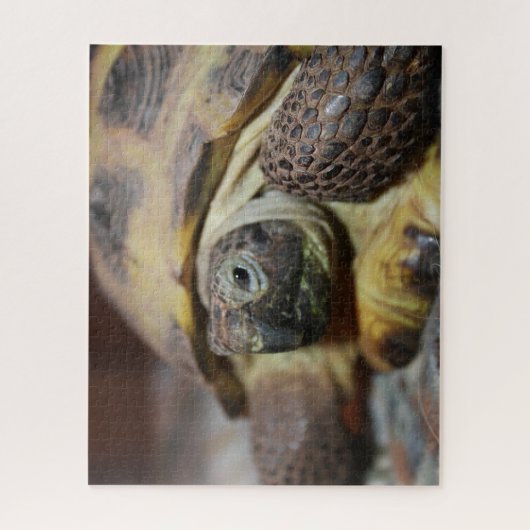 Tibbs Puzzle (Vertikal)