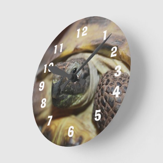 Tibbs Runde Wanduhr (Winkel)