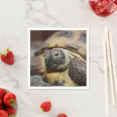 Tibbs Serviette (Beispiel)