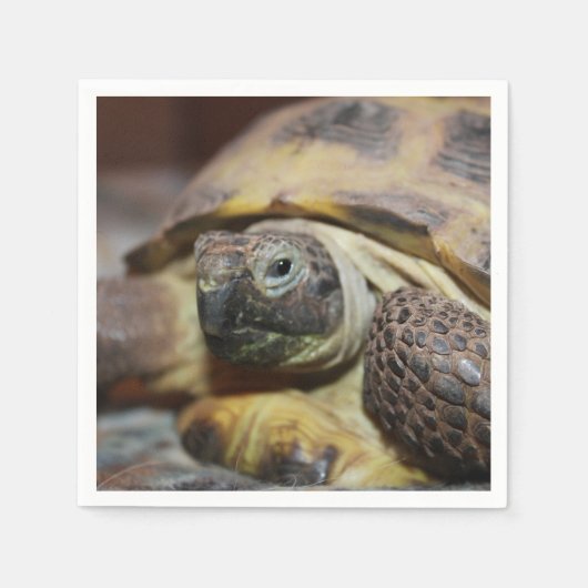 Tibbs Serviette (Vorderseite)