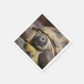 Tibbs Serviette (Ecke)