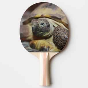 Tibbs Tischtennis Schläger