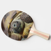 Tibbs Tischtennis Schläger (Seitenansicht)