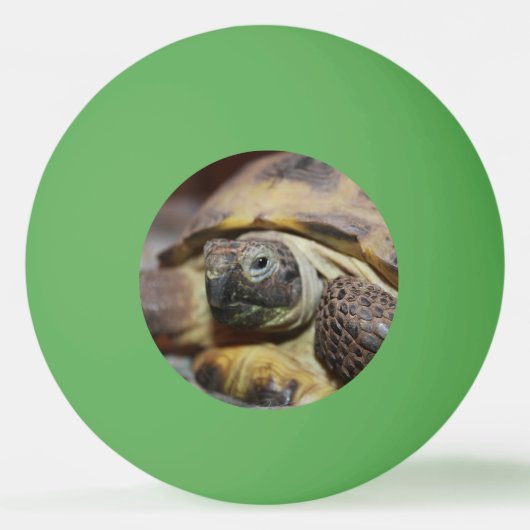 Tibbs Tischtennisball (Vorderseite)