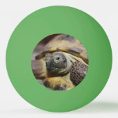 Tibbs Tischtennisball (Rückseite)