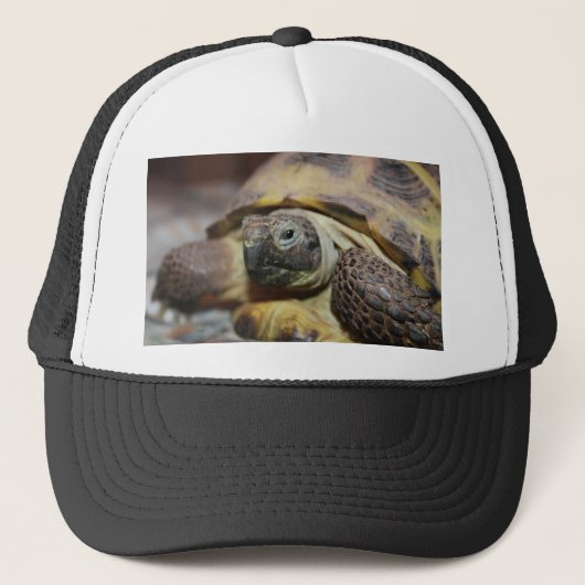 Tibbs Truckerkappe (Vorderseite)