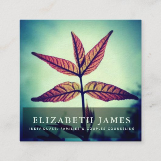 Tiber Blue Orange Star Leaf Nature Quadratische Visitenkarte (Vorderseite)